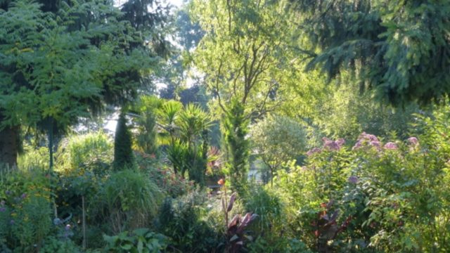 Strukturierung unterscheidet einen Garten von blühender Wildnis