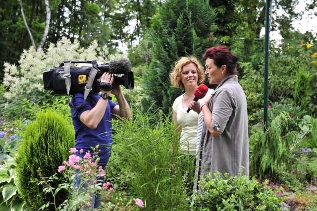 Der Rundfunk Berlin-Brandenburg zu Besuch in der Mustergartenanlage.